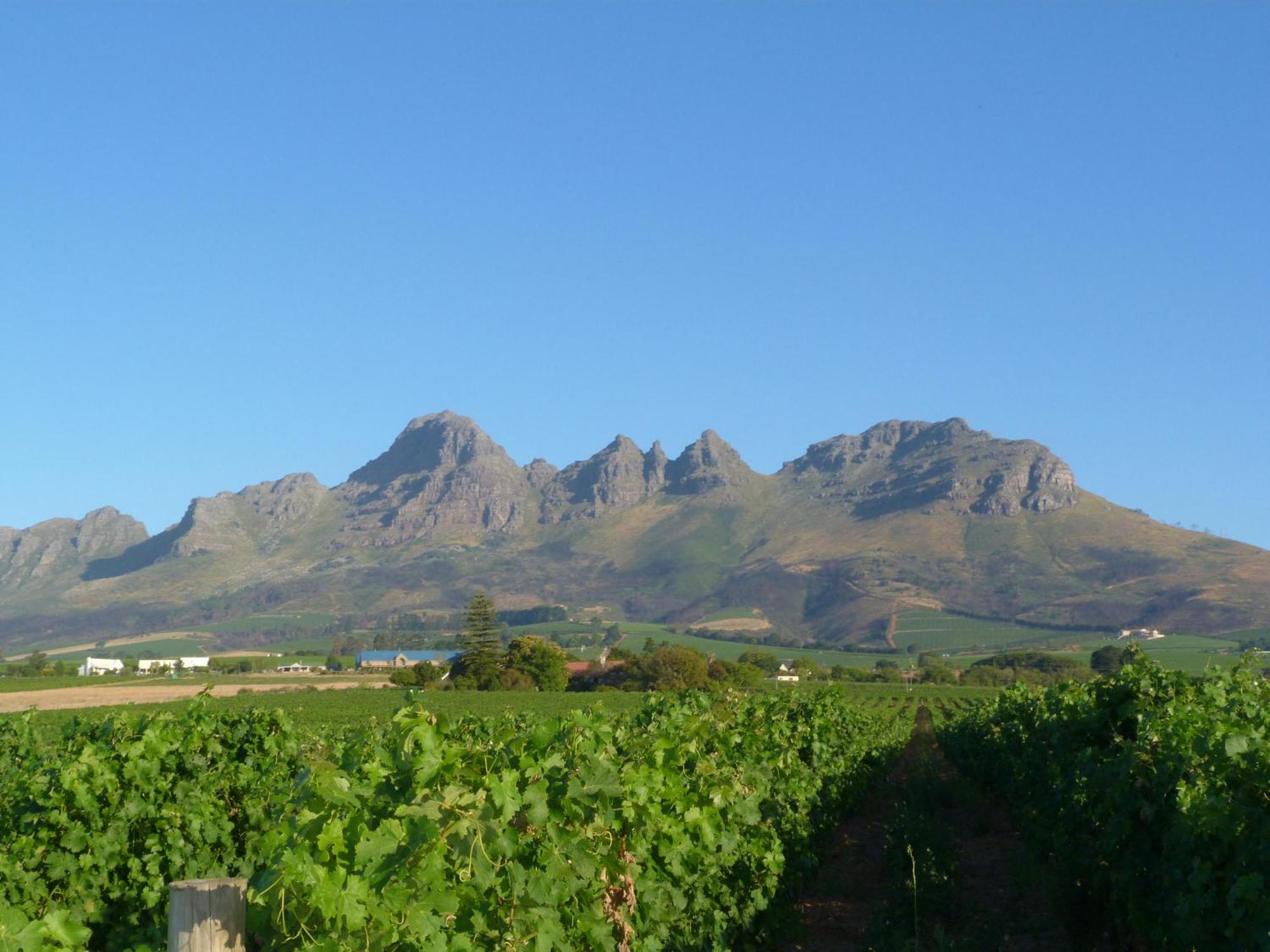 Eikendal Lodge Stellenbosch Exterior photo